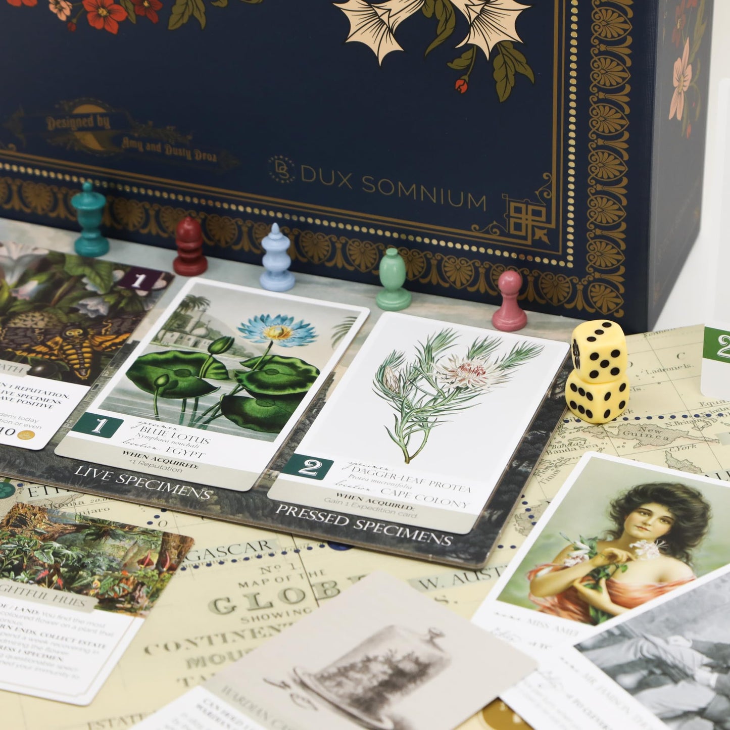 Botany Board Game by Dux Somnium Games | Victorian Flower Hunting for Plant Lovers | 1-5 Players, Ages 8+