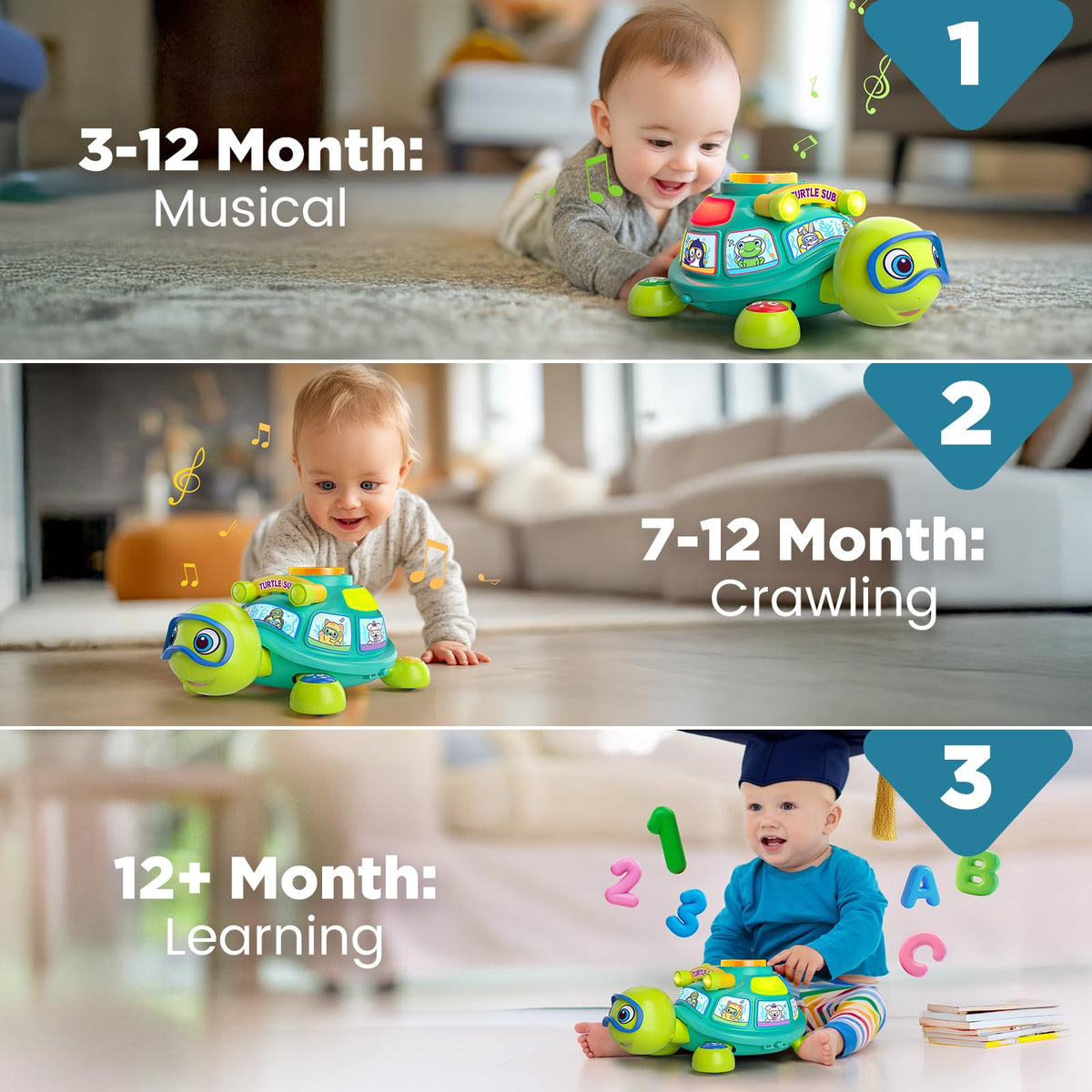BQU Educational Baby Toys 6-12 Months: Musical Crawling Turtle (Bilingual)