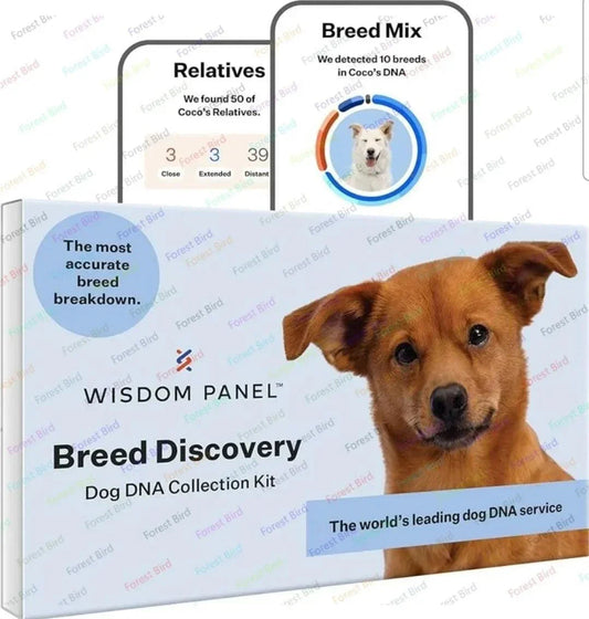 Breed Discovery Dog DNA Kit – Accurate 365+ Breed Identification, MDR1 Health Test, and Ancestry Insights