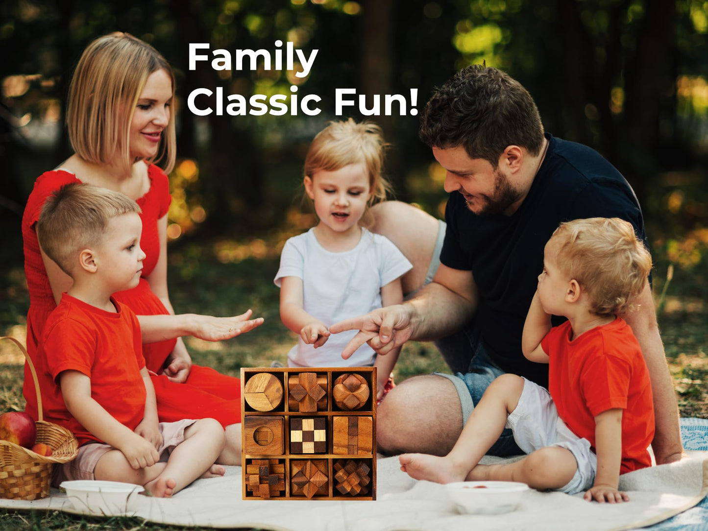 BSIRI 9 in 1 Wooden Brain Teaser Puzzles — 3D Mind Games for Adults & Teens