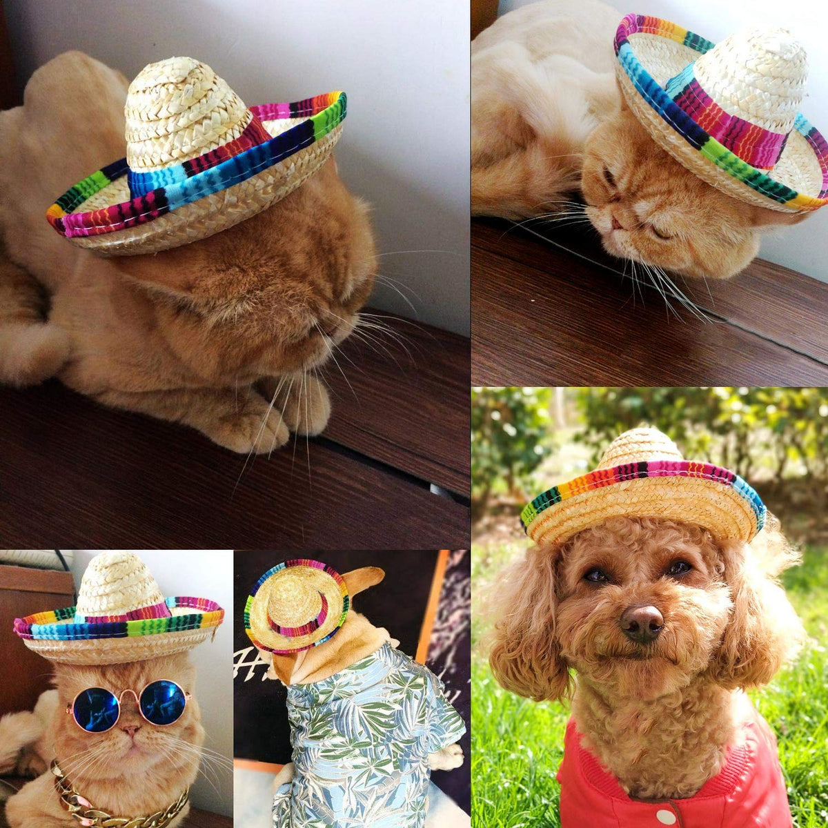 BTYMS 8 Pieces Mini Sombrero Hats – 5.9 Inch Party Decor for Table, Dolls, and Pets
