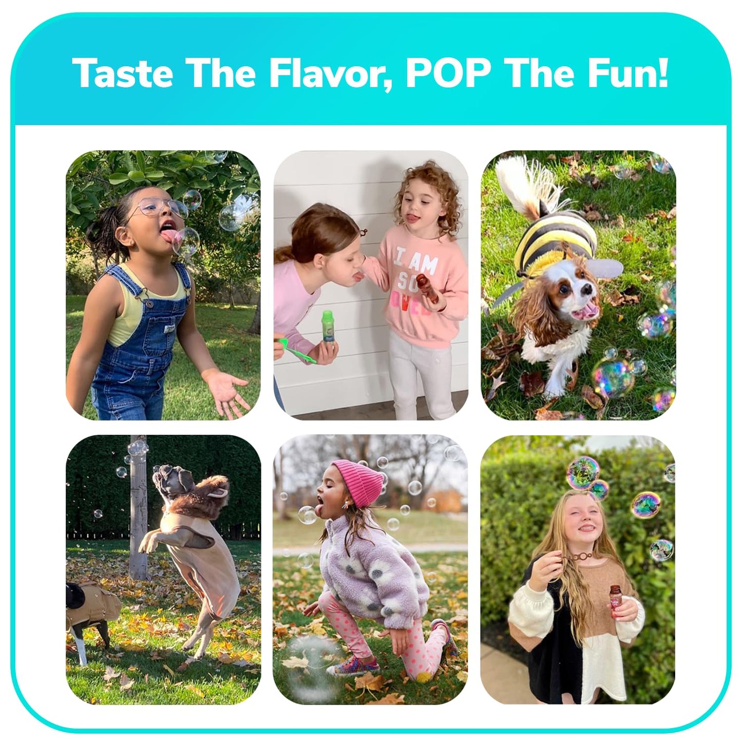 Bubble Lick Variety 4-Pack – Cinnamon Roll, Watermelon, Cookie, Cotton Candy | USA Made