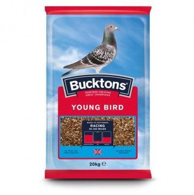 Bucktons Young Bird