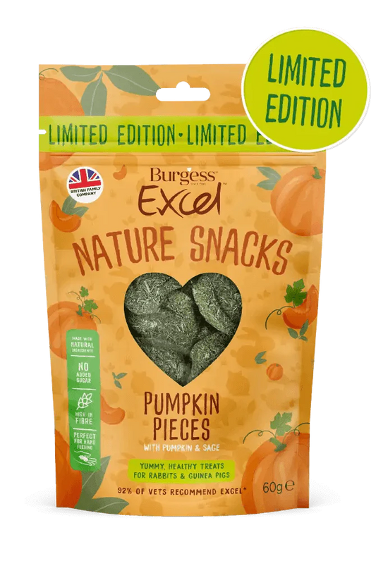 Burgess Excel Pumpkin Pieces with Pumpkin and Sage LIMITED EDITION