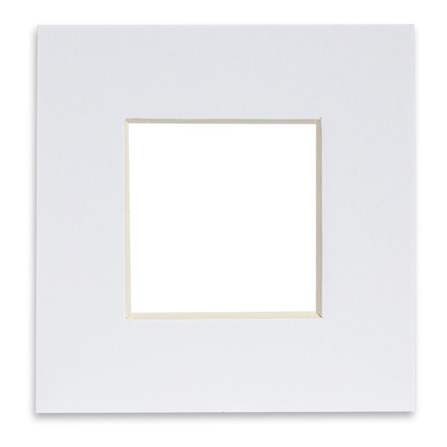 6" x 6" Picture Mount for 10" x 10" Frame