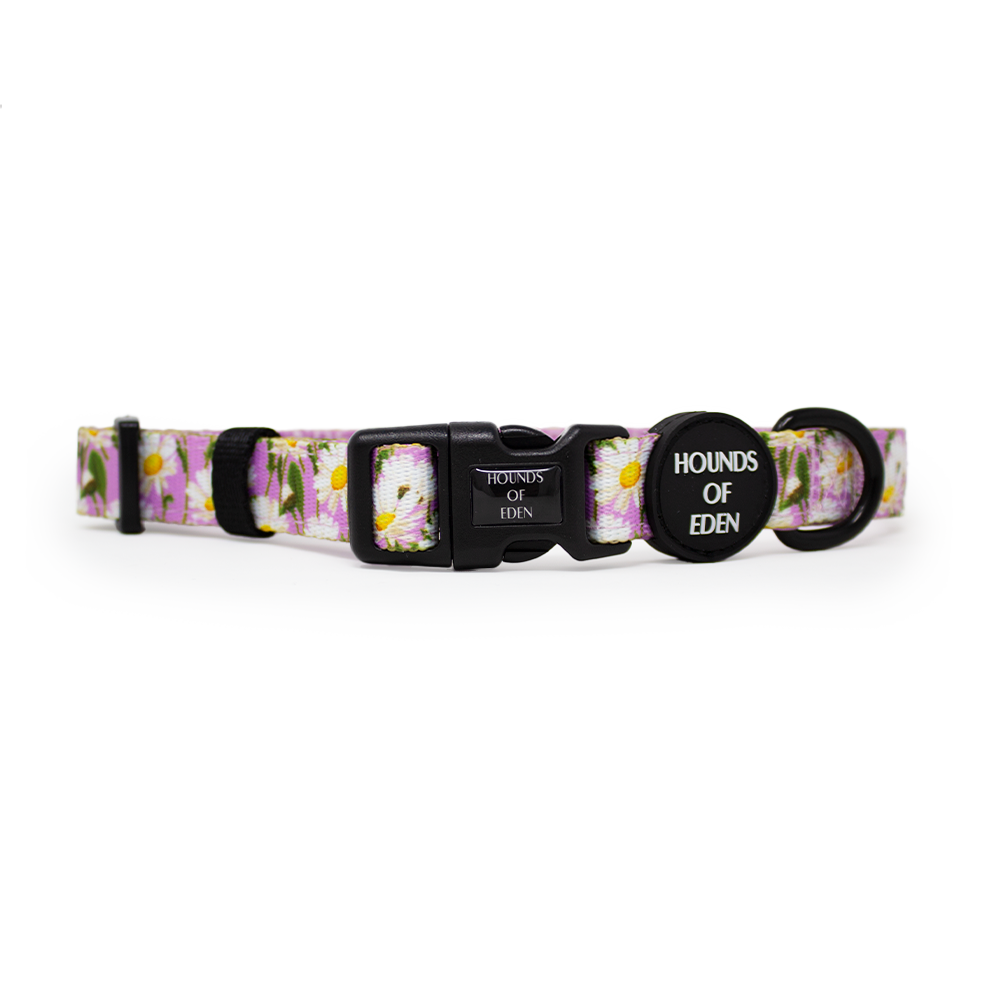 Daisy Dreams Design Dog Harness