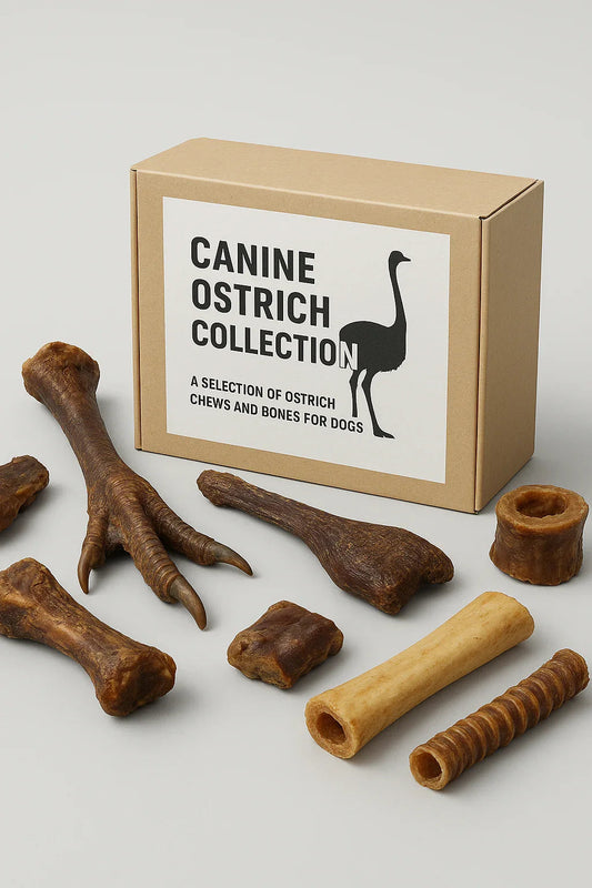 Canine Ostrich Collection