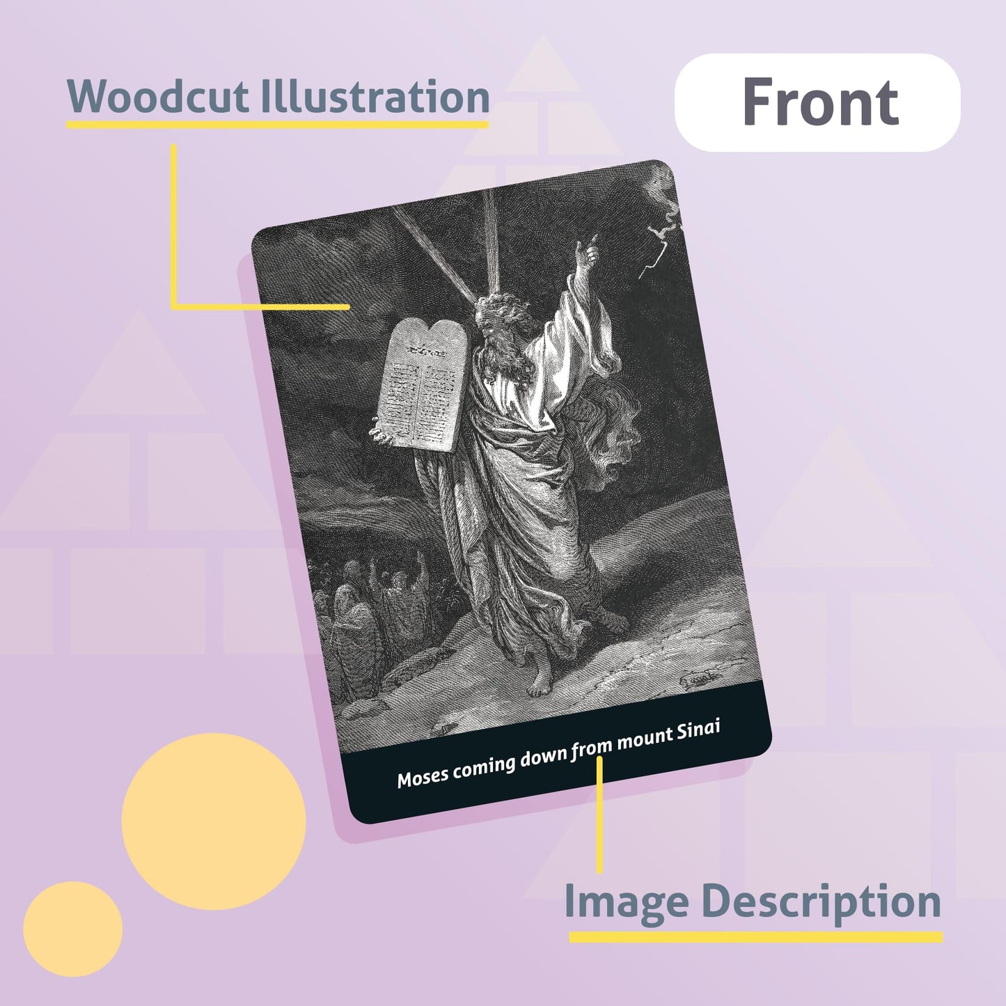 CARDDIA Books of The Bible Flash Cards | Woodcut Illustrations, Color-Coded Divisions & Key Facts