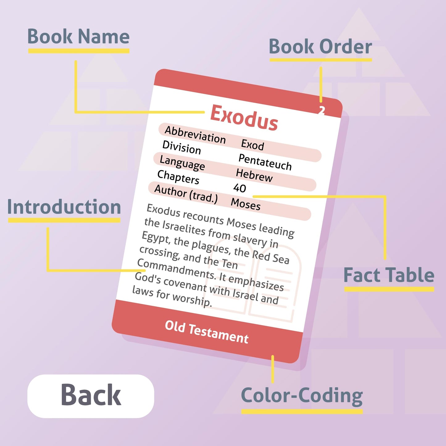 CARDDIA Books of The Bible Flash Cards | Woodcut Illustrations, Color-Coded Divisions & Key Facts