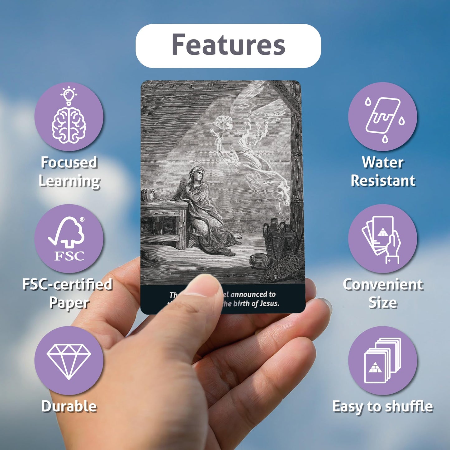 CARDDIA Books of The Bible Flash Cards | Woodcut Illustrations, Color-Coded Divisions & Key Facts