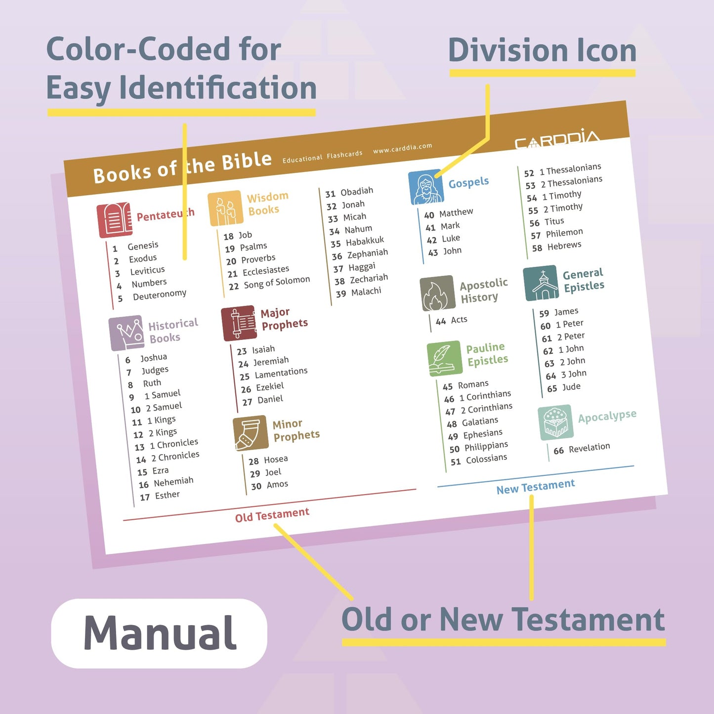CARDDIA Books of The Bible Flash Cards | Woodcut Illustrations, Color-Coded Divisions & Key Facts