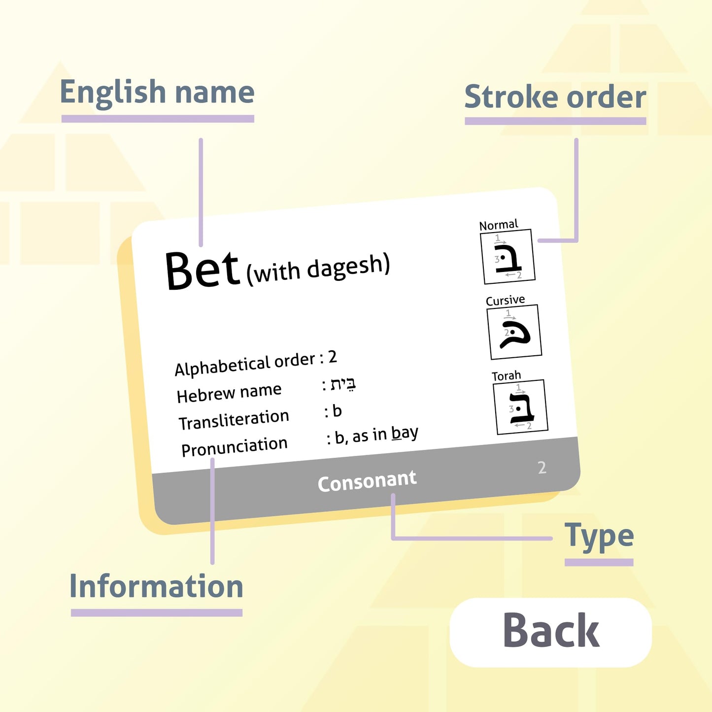 CARDDIA Biblical Hebrew Alphabet Flashcards | 53 Cards with Consonants, Vowels, Dagesh & Final Forms