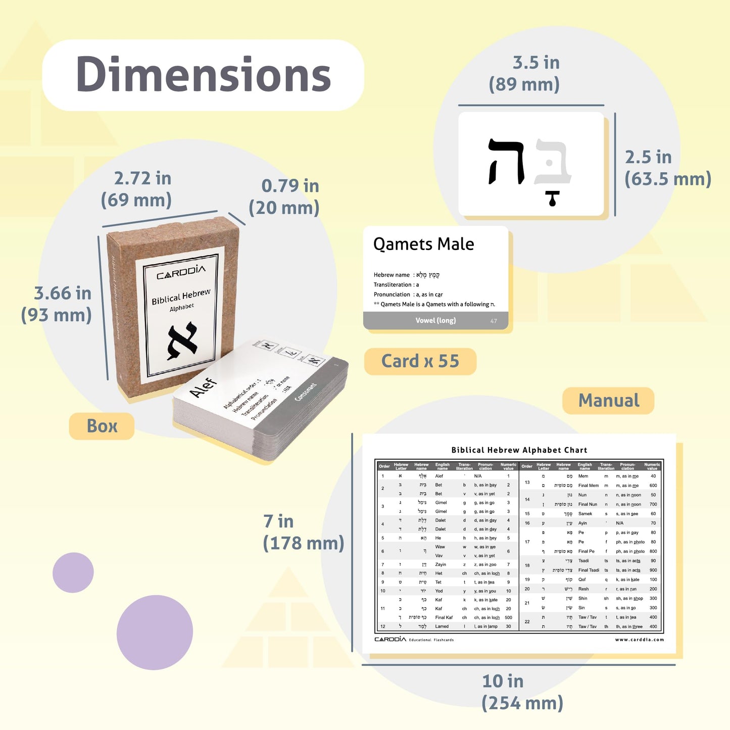 CARDDIA Biblical Hebrew Alphabet Flashcards | 53 Cards with Consonants, Vowels, Dagesh & Final Forms