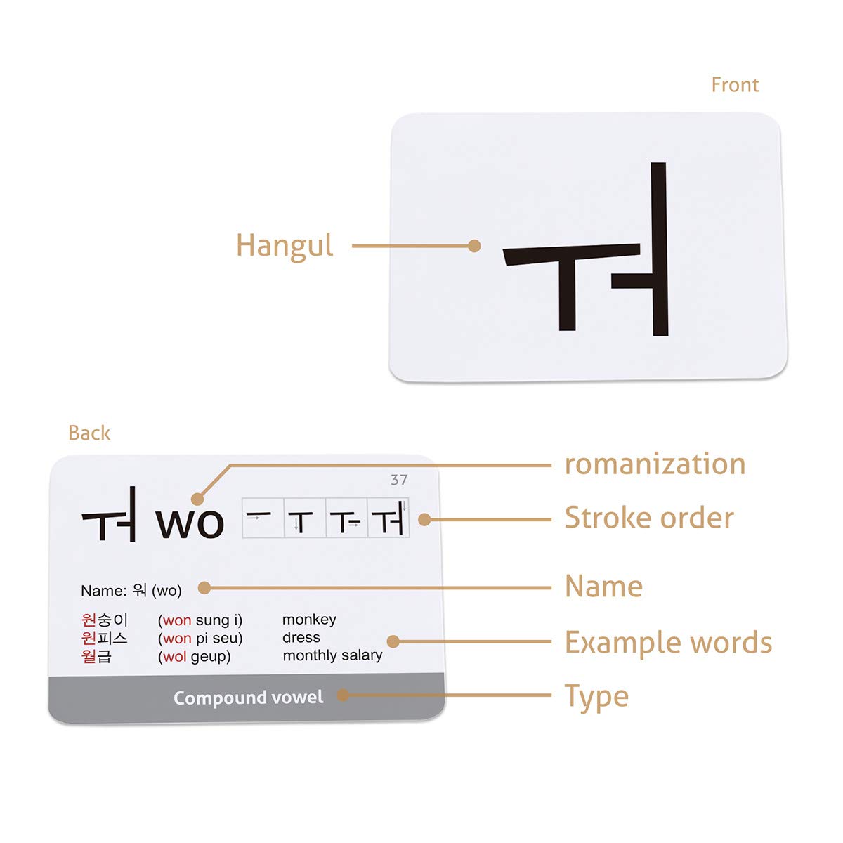 CARDDIA Korean Hangul Flashcards – Learn All Consonants & Vowels for Self-Study, Beginners & Teachers