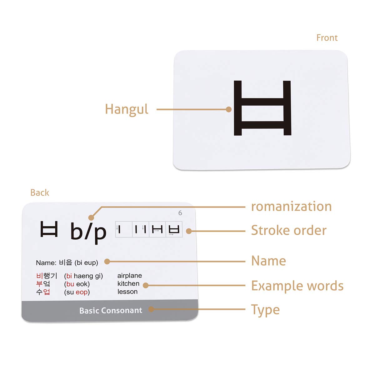 CARDDIA Korean Hangul Flashcards – Learn All Consonants & Vowels for Self-Study, Beginners & Teachers
