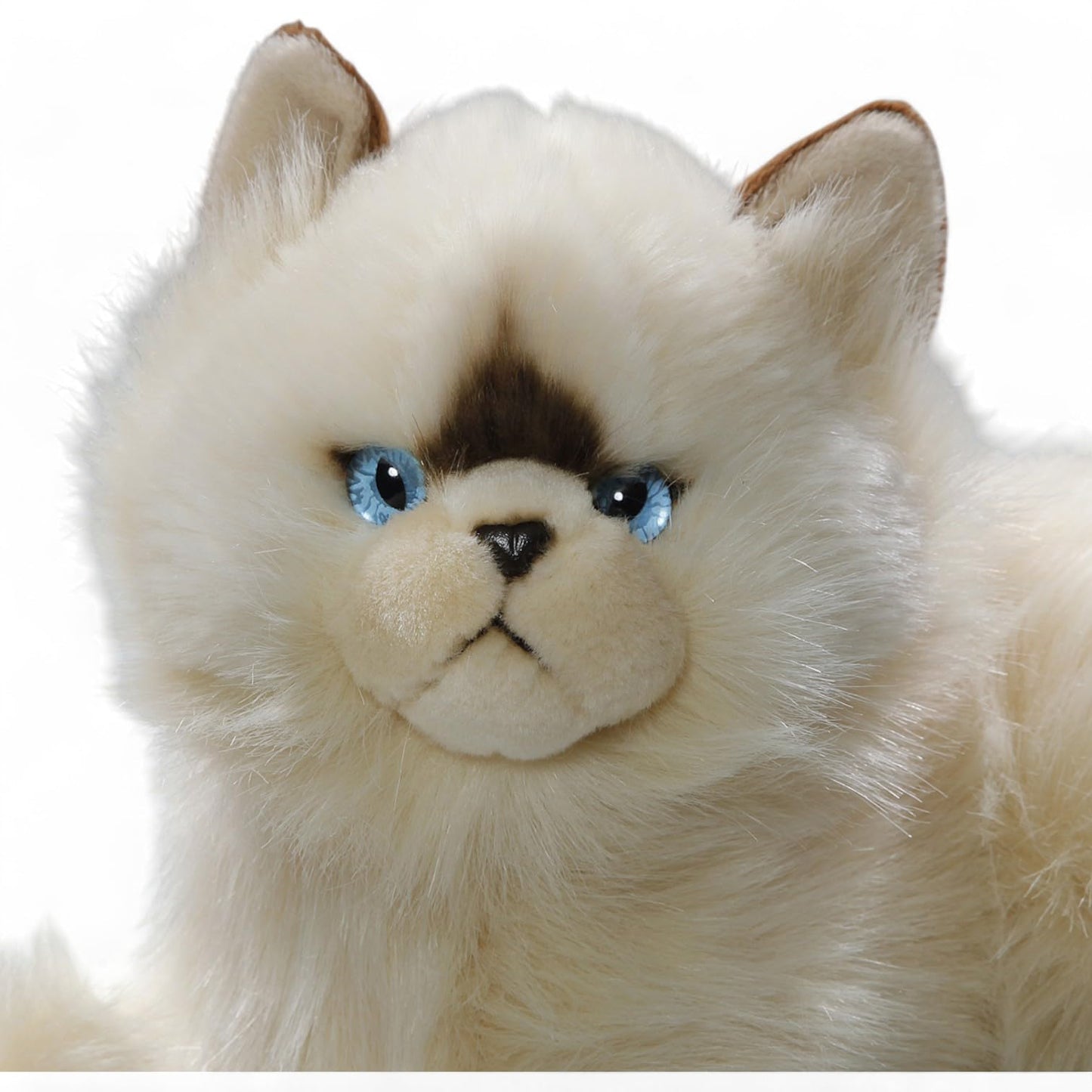 Carl Dick Cat – Himalayan Chocolate Point Plush Toy, 12 in / 30 cm, Soft & Safe