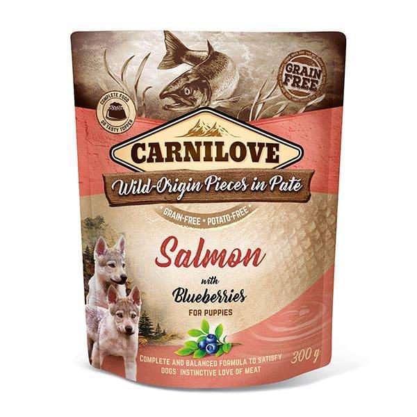 Carnilove Carnilove Salmon with Blueberries Wet Puppy Food 12 x 300g