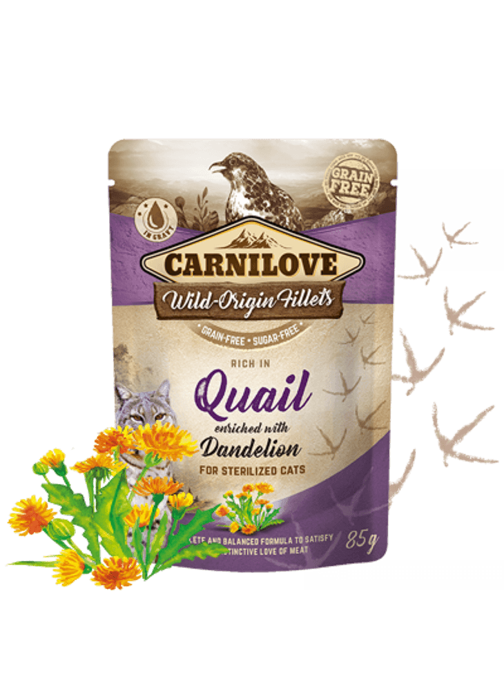 Carnilove Rich in Quail Enriched with Dandelion Wet Cat Food 24 x 85g Pouches