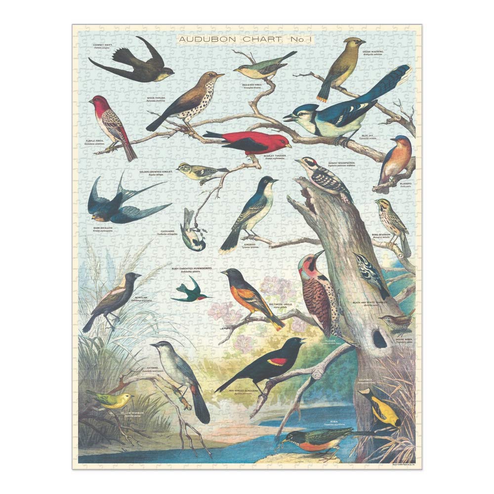 Cavallini & Co Audubon Birds 1000-Piece Puzzle (20x28 inches)
