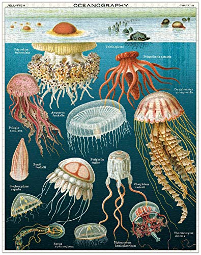 Cavallini Papers & Co. Jelly Fish 1,000-Piece Puzzle – Vintage Archive Imagery, 20 x 28 in