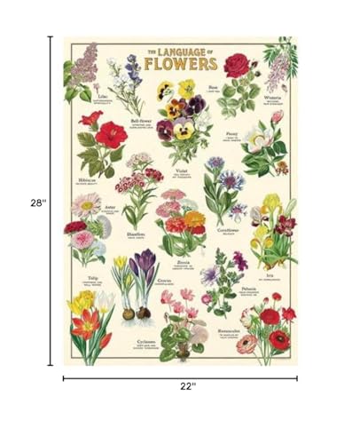 CAVANILLI & CO. Language of Flowers 1,000 Piece Puzzle – Vintage Floral Illustrations