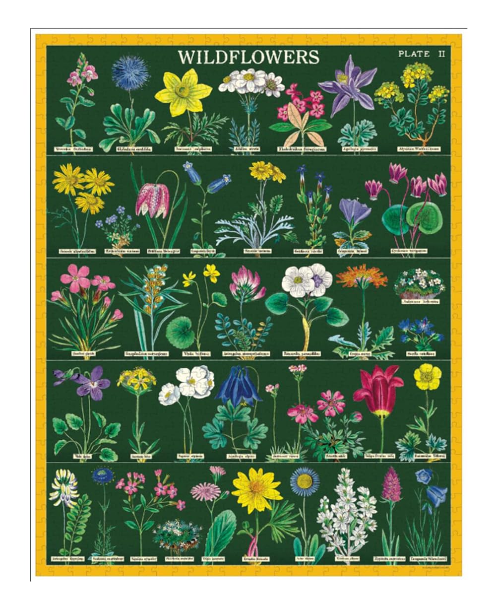 Cavallini & Co. Vintage Wildflowers 2 Puzzle – 1000 Pieces