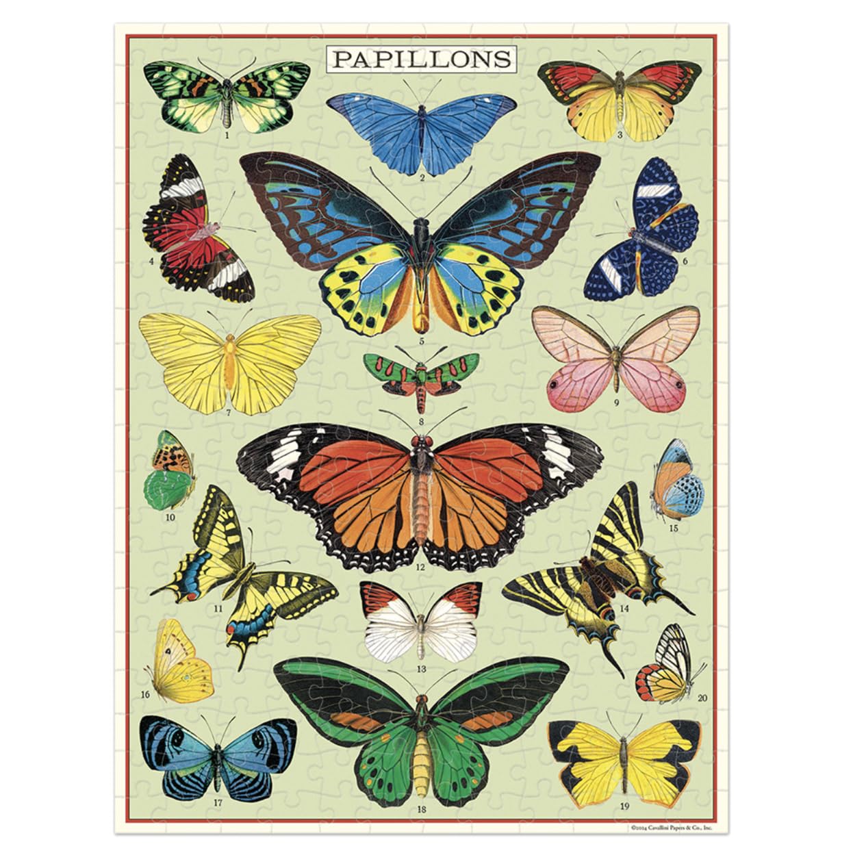 CAVANILLI & CO Cavallini Mini Puzzle – Butterflies, 240 Pieces
