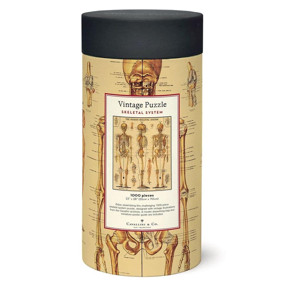 CAVANILLI & CO. Cavallini Skeletal System 1,000-Piece Puzzle – Vintage Archive Art