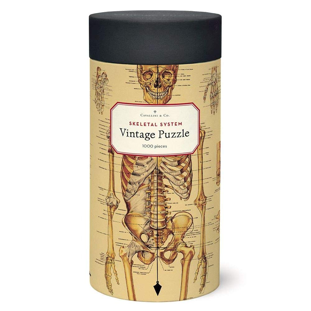CAVANILLI & CO. Cavallini Skeletal System 1,000-Piece Puzzle – Vintage Archive Art