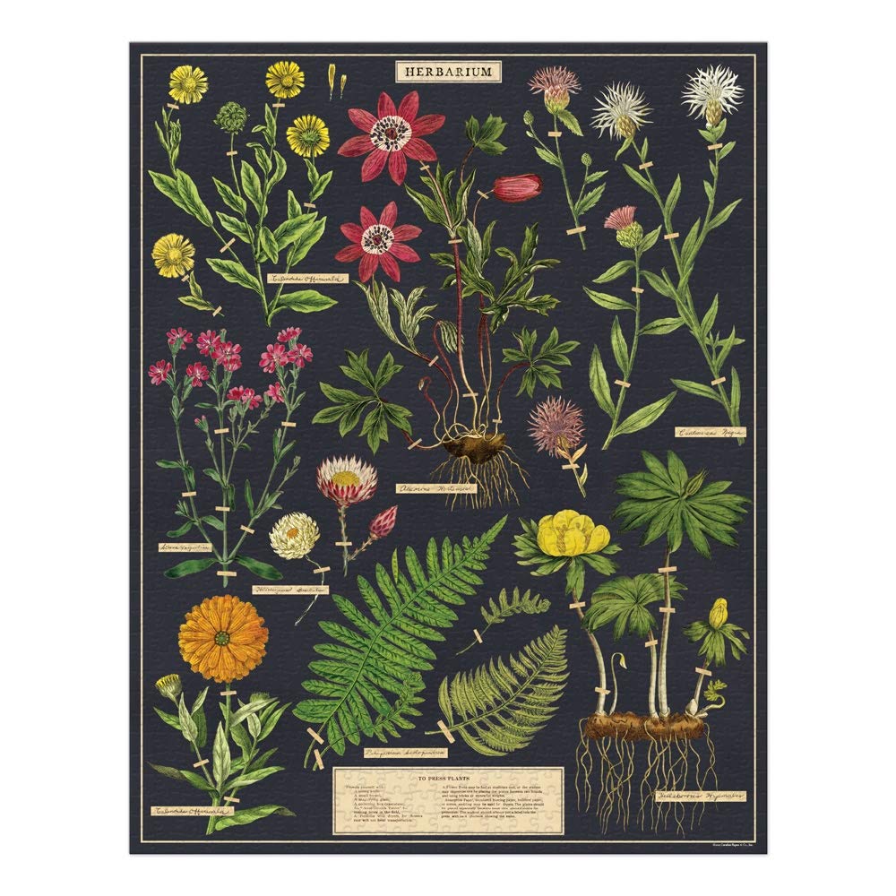 CAVANILLI & CO Herbarium 1,000 Piece Puzzle – Vintage Archives Artwork