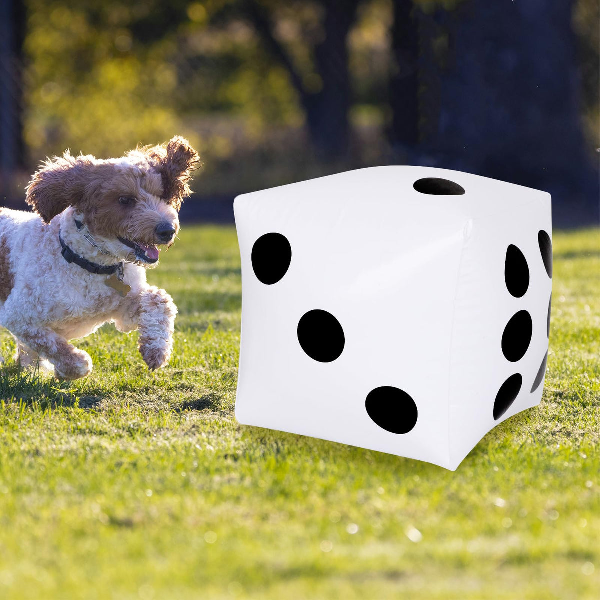 CCINEE 13-Inch Giant Inflatable Dice — Pack of 2 for Outdoor Games, Pool & Lawn Fun