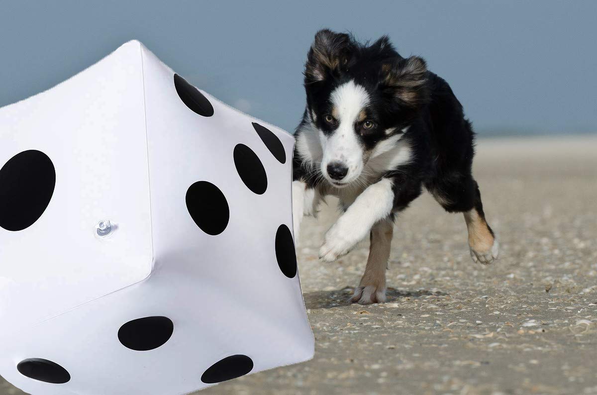CCINEE 13-Inch Giant Inflatable Dice — Pack of 2 for Outdoor Games, Pool & Lawn Fun