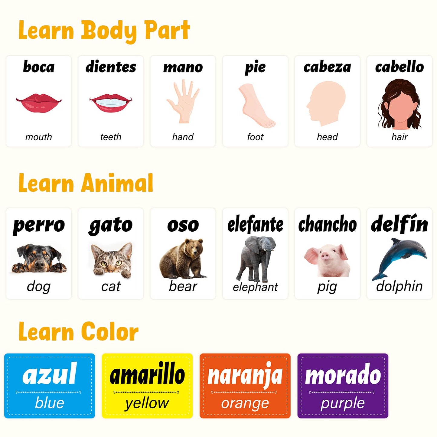 Ceiba Tree Spanish Flash Cards — 100 Pcs (English to Spanish), Verbs, Phrases & Colors