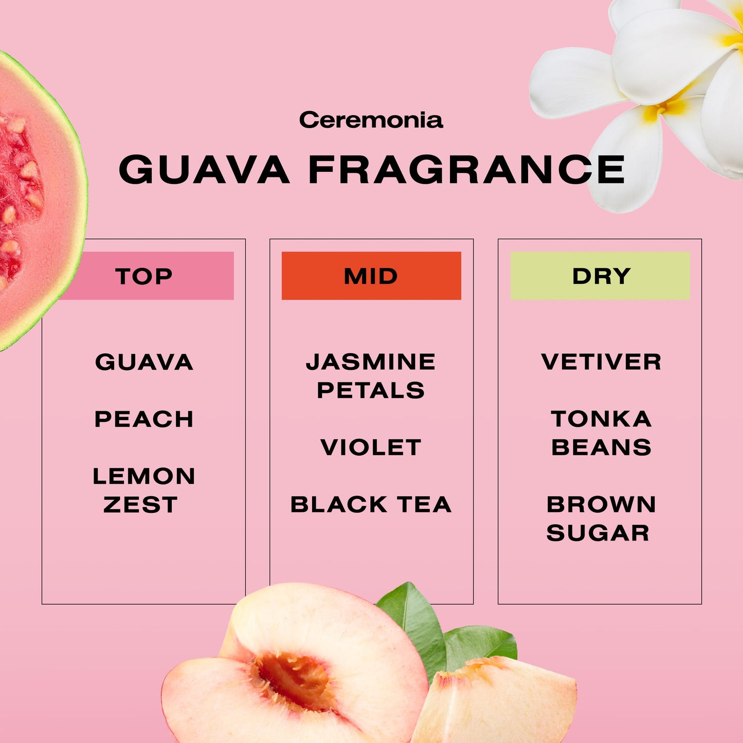 Ceremonia Guava Protect & Repair Conditioner with Aloe Vera – Damaged & Color-Treated Hair (8.45 fl oz / 250 mL)