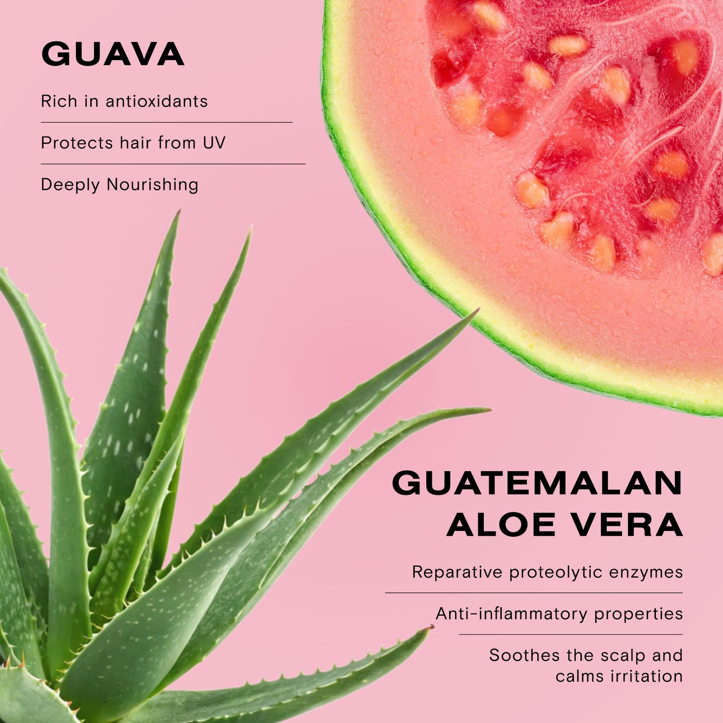 Ceremonia Guava Protect & Repair Conditioner with Aloe Vera – Damaged & Color-Treated Hair (8.45 fl oz / 250 mL)