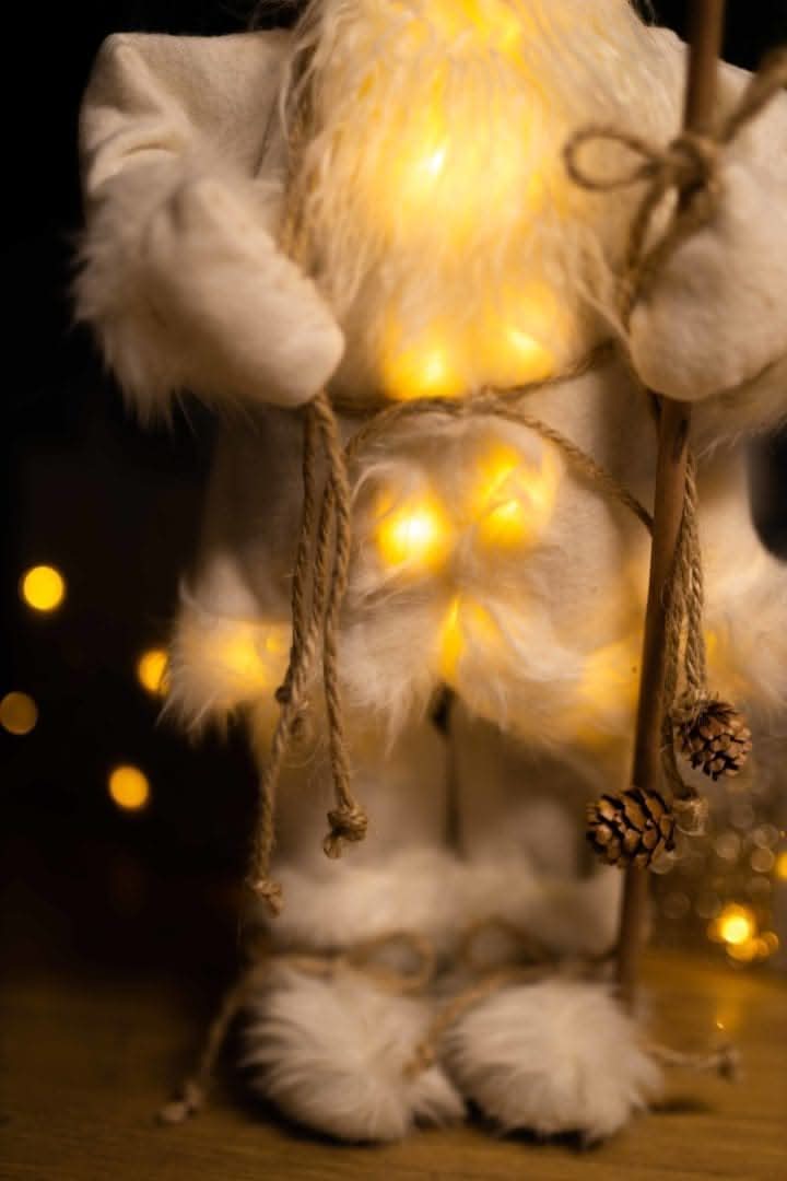 Santa Claus Light Up Standing Figure LED Decoration