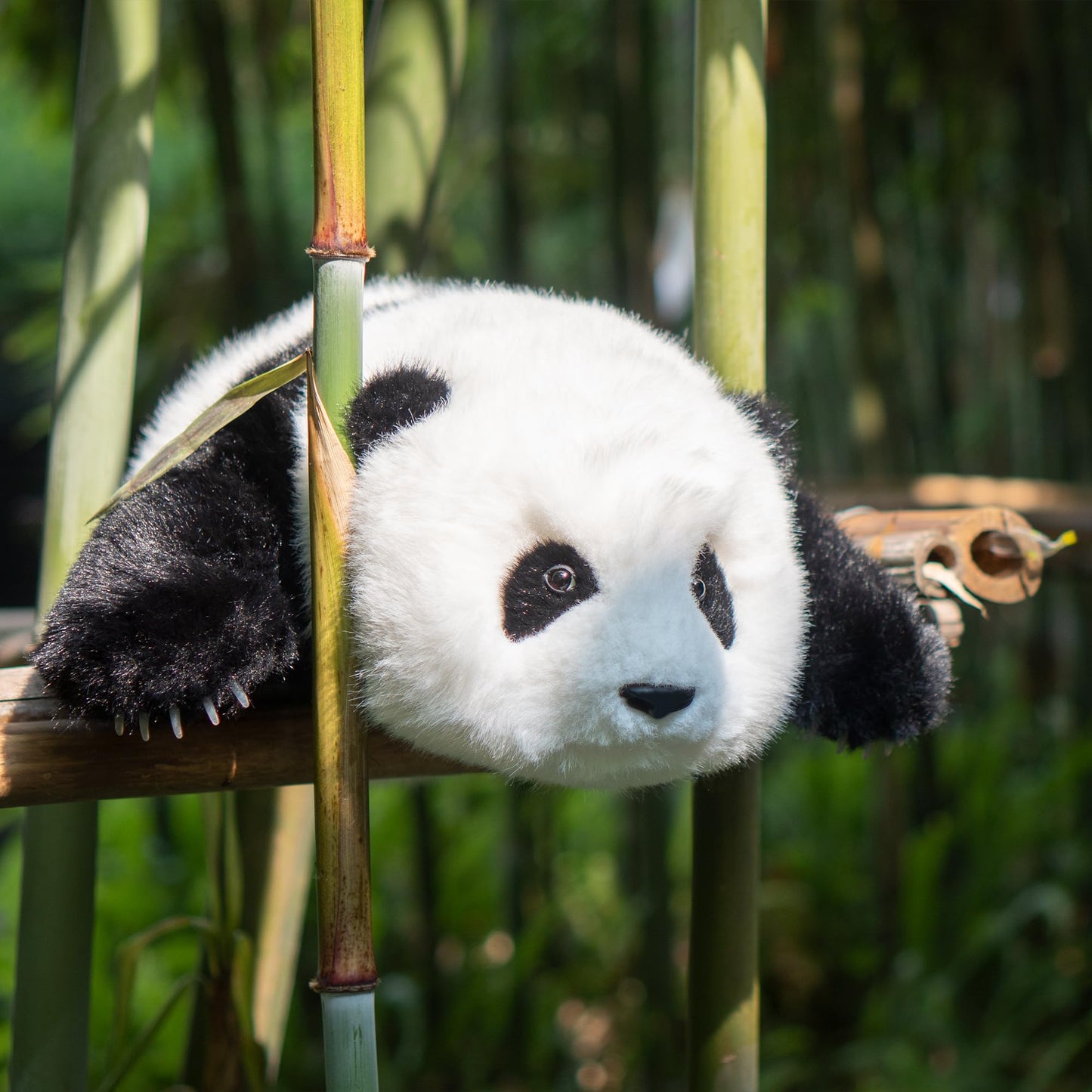 Chongker MengLan Weighted Panda Plush – 18-Inch, 4 Lb Handmade Realistic Panda Toy