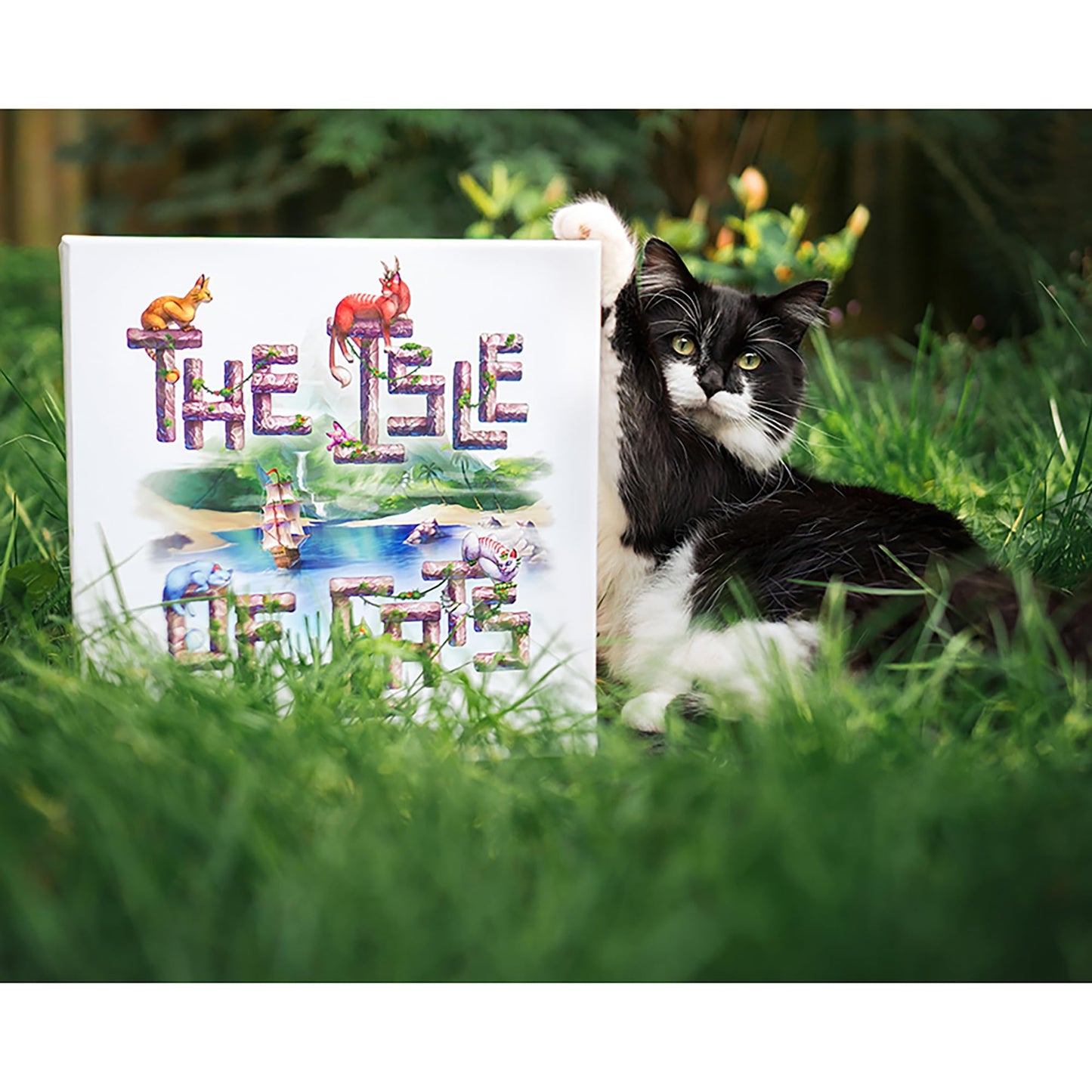 City of Games The Isle of Cats — Rescue Cats & Tile Placement for 1-4 Players