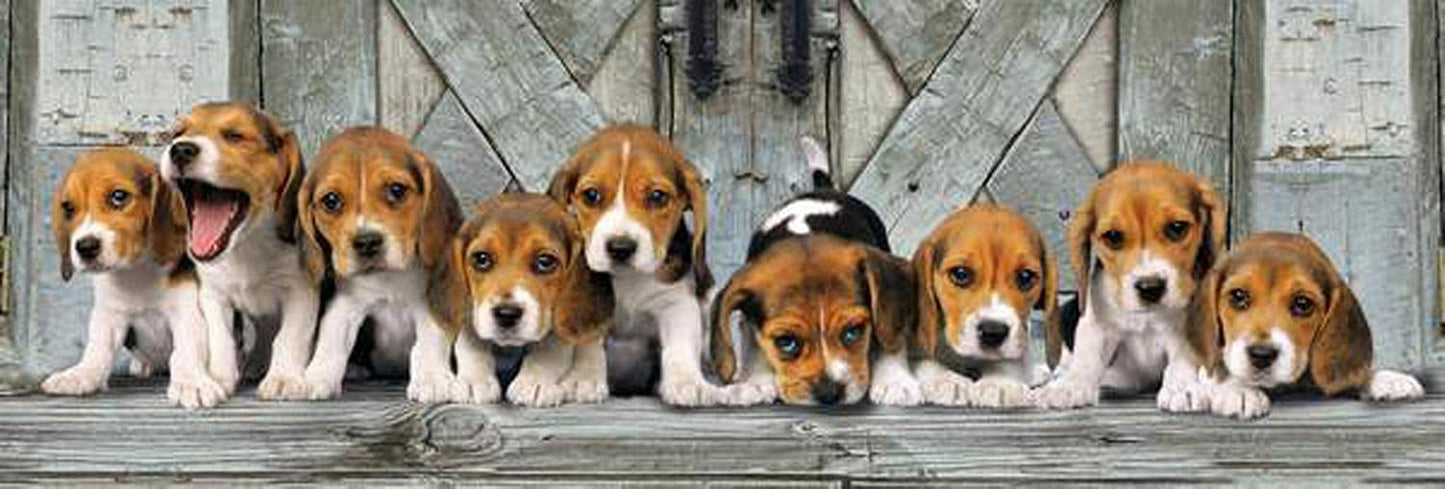 Clementoni 39435 Beagles Panorama Puzzle – 1000 Pieces | High Quality Collection