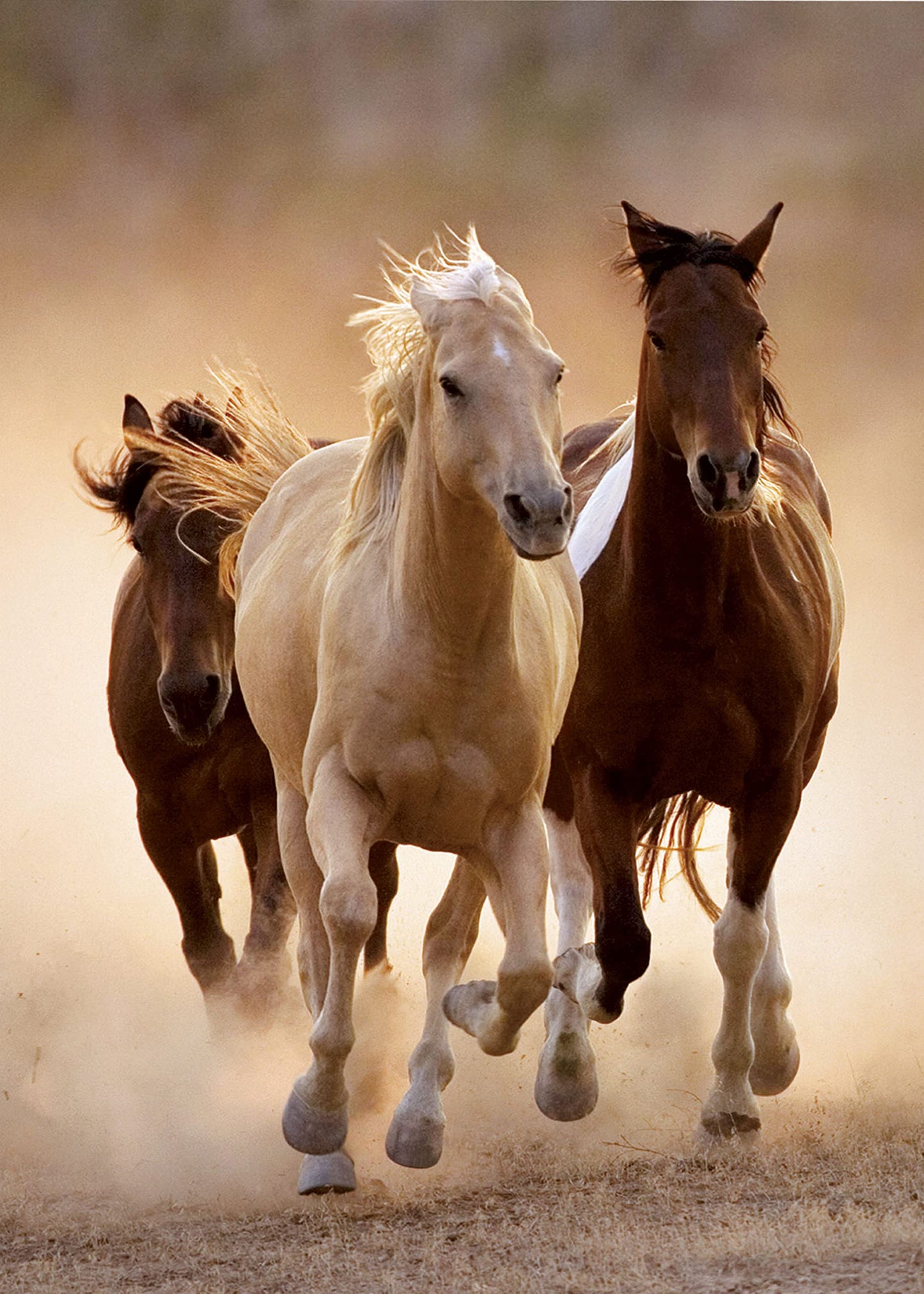 Clementoni Running Horses 1000-Piece Puzzle – Premium Italian Craft