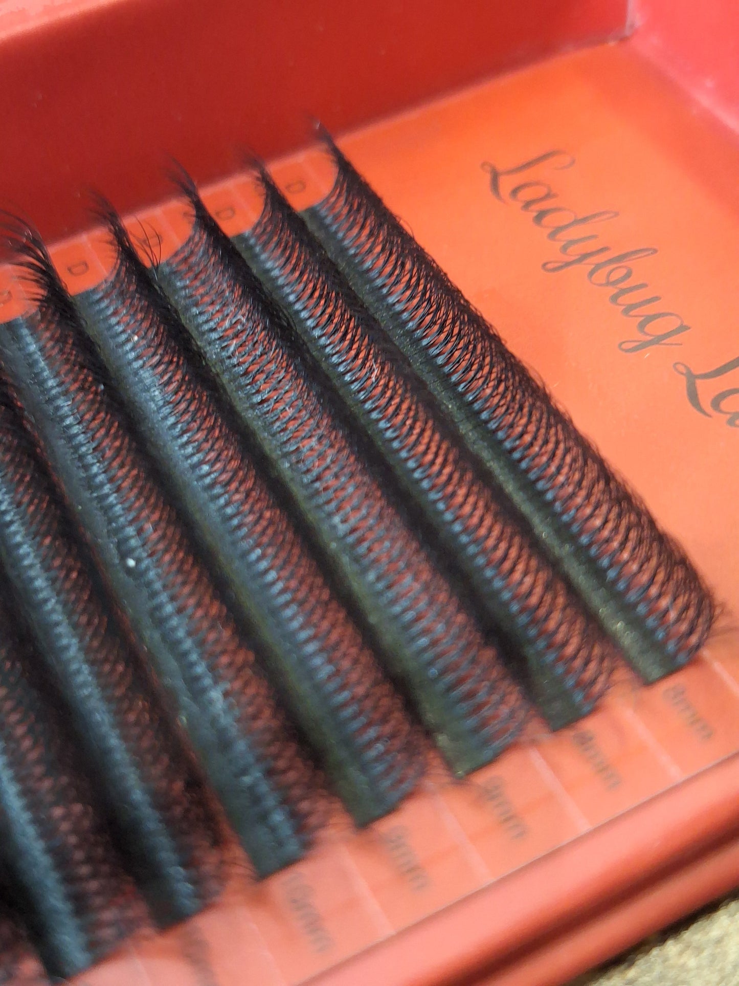 10D Clover Lash Mixed Tray (16 Rows)