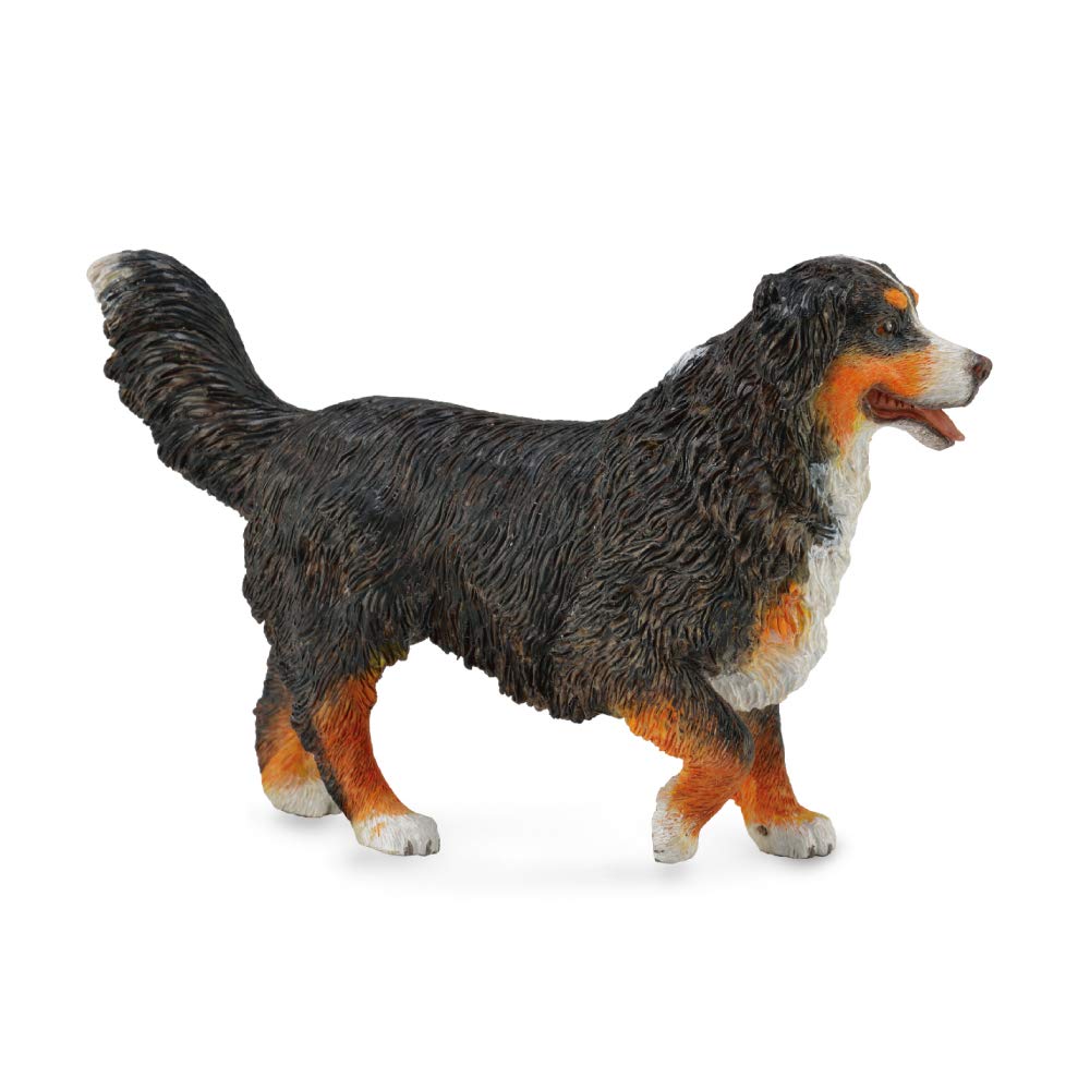 CollectA Bernese Mountain Dog Toy – Hand-Painted Vinyl Miniature, 4.1 x 2.6 in