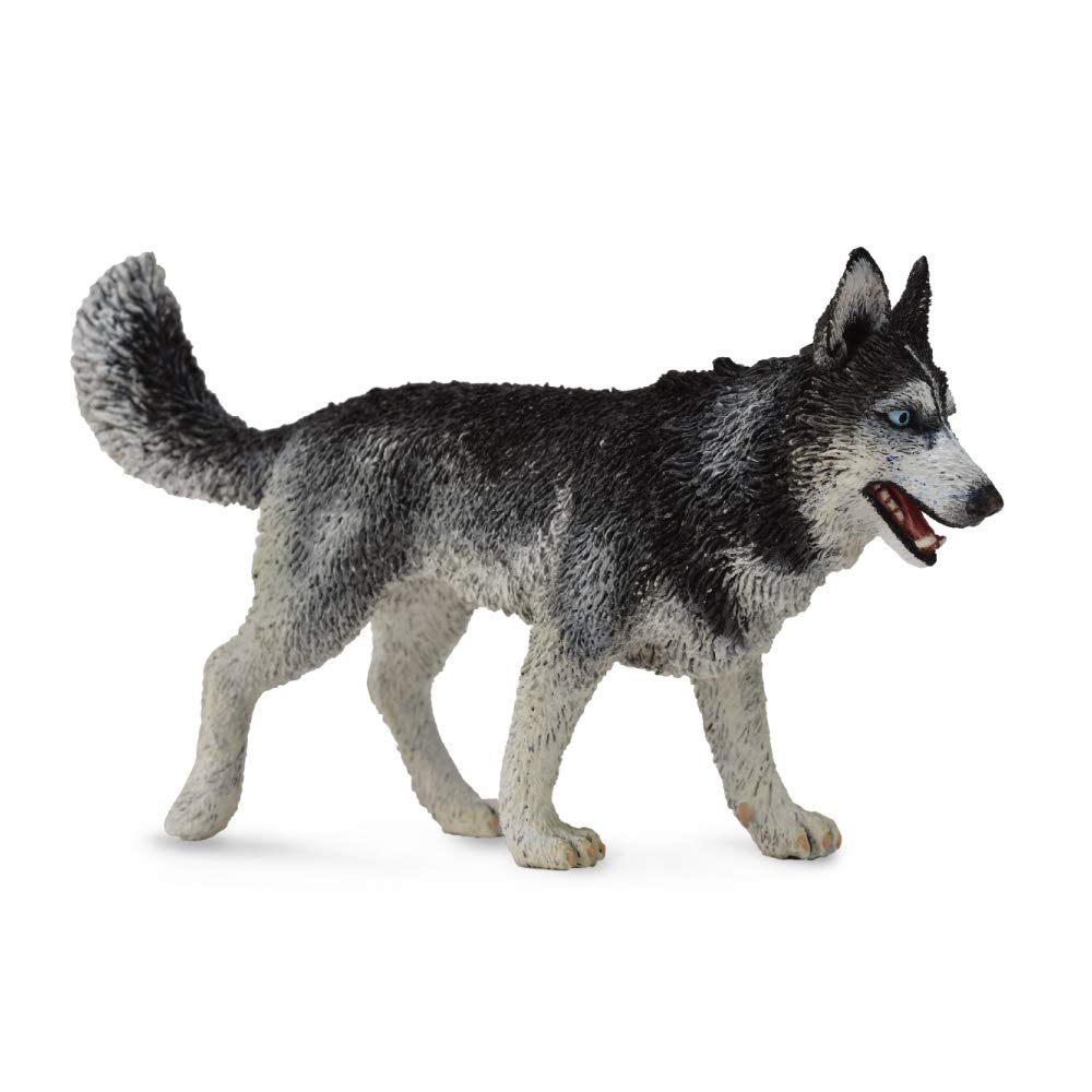 Collect A Siberian Husky Toy Figure by Collecta | Educational Animal Replica