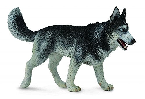 Collect A Siberian Husky Toy Figure by Collecta | Educational Animal Replica