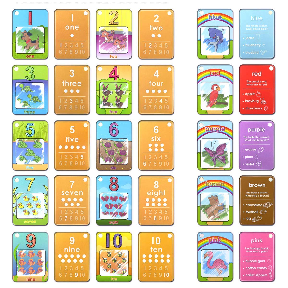 Coolplay Water Coloring Cards – Learn Shapes, Numbers & Colors
