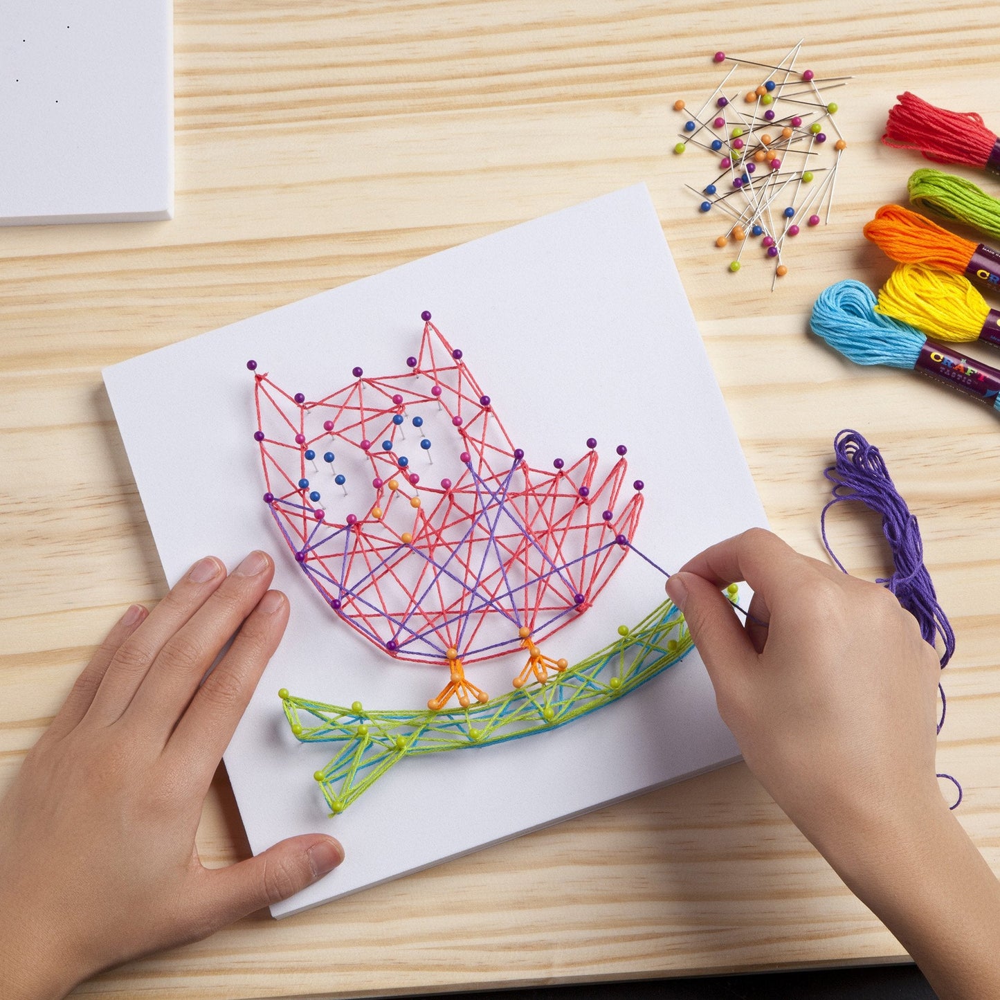 Craft-tastic DIY String Art Kit for Kids – Owl Series (3 Projects, Large)