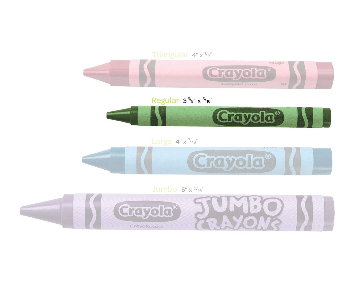 Crayola Crayons Bulk (24 Packs) – 24-Color Classroom Coloring Set