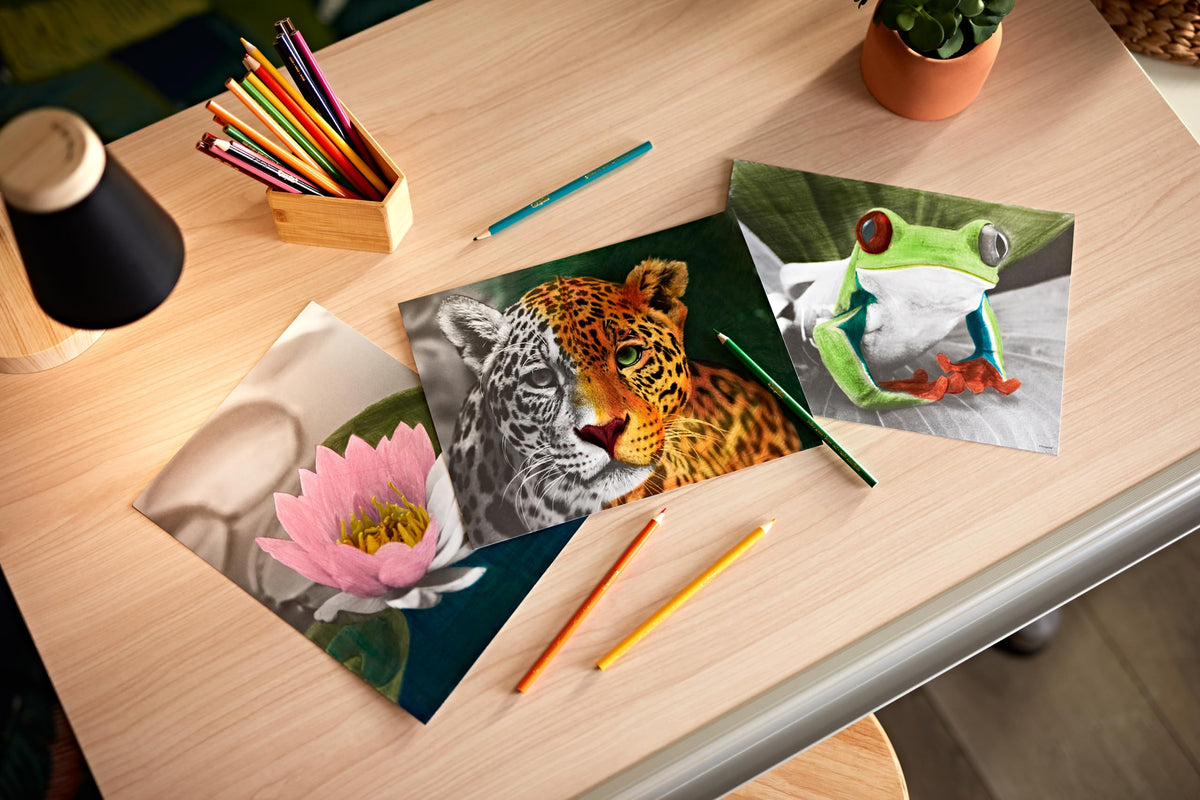 Crayola HD Coloring Kit – 30 Pencils & 20 Premium Pages for Adults & Teens