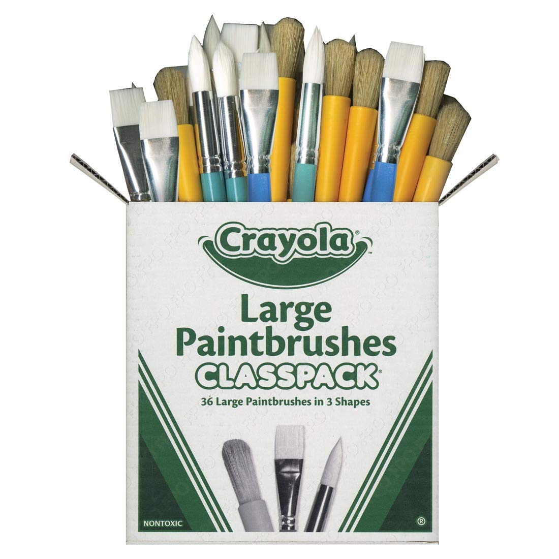 Crayola Paintbrush Variety Classpack (36ct) – Flat, Round & Jumbo Brushes for Kids' Classroom Art