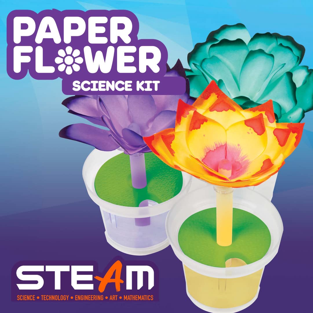 Crayola Paper Flower Science Kit: Color-Changing Flowers for Kids (Ages 7+)